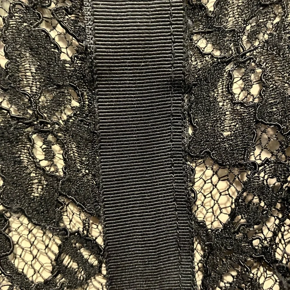 Babaton Aritzia Tobias Black Eyelash Lace V-Neck Sheath Mini Dress Size 4‎ - Picture 15 of 15
